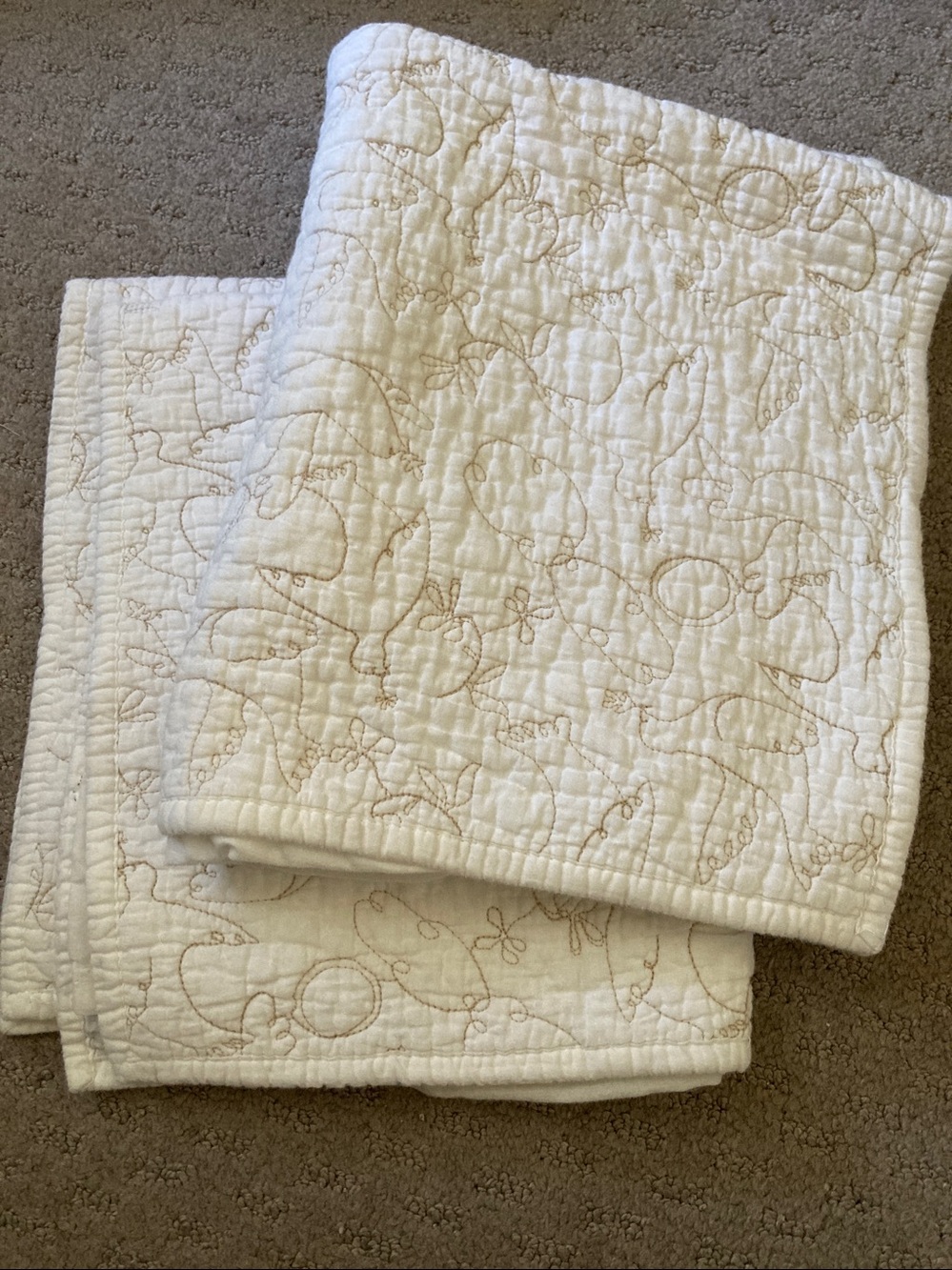 Bundle (2) Opalhouse dove stitch quilted standard shams.